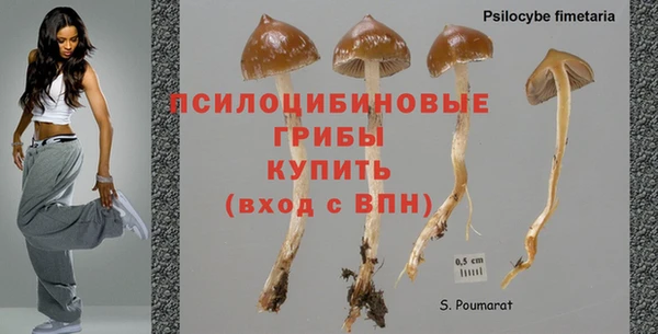 шишки Гусиноозёрск