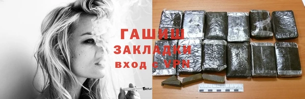 шишки Гусиноозёрск