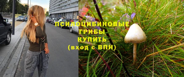 шишки Гусиноозёрск