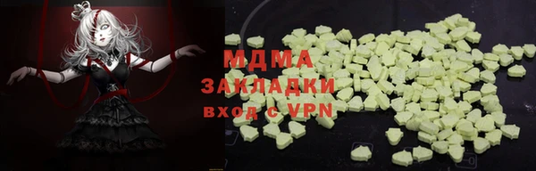 шишки Гусиноозёрск