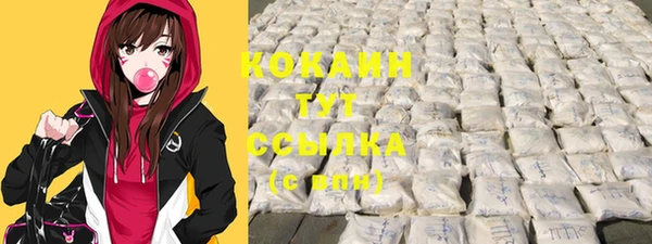 крисы Гусев