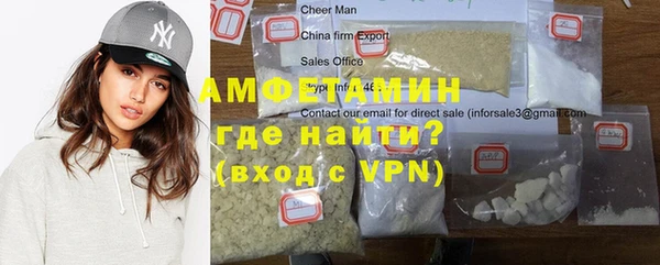 шишки Гусиноозёрск