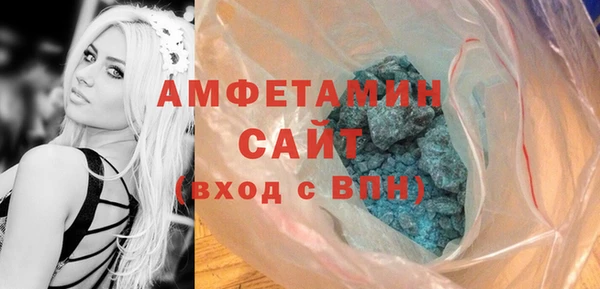 шишки Гусиноозёрск