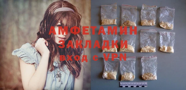 шишки Гусиноозёрск
