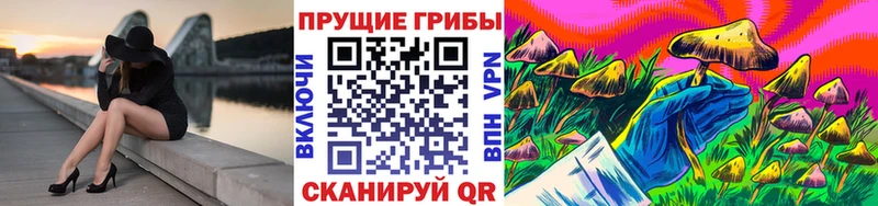 KRAKEN ТОР  купить наркотик  Пикалёво  Псилоцибиновые грибы мухоморы 